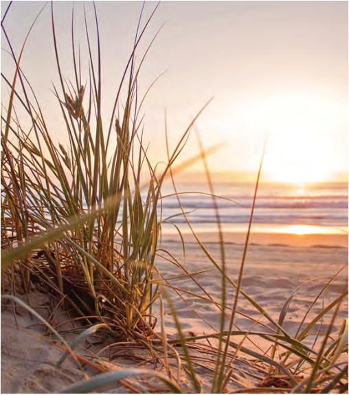 sunset at the beach