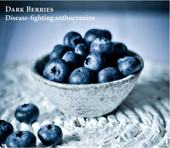 dark berries is a disease-fighting anthocyanins